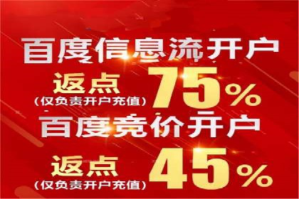 行业领先企业的网络推广与竞价经验